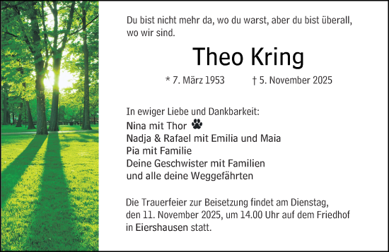 Traueranzeige von Theo Kring von Hinterländer Anzeiger