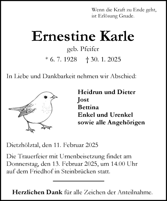 Traueranzeige von Ernestine Karle von Dill Block