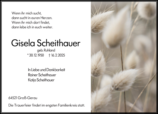 Traueranzeige von Gisela Scheithauer von Groß-Gerauer Echo