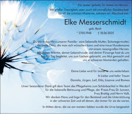Traueranzeige von Elke Messerschmidt von Wetzlarer Neue Zeitung