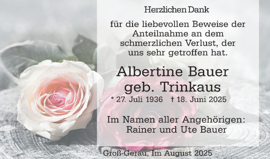 Traueranzeige von Albertine Bauer von Groß-Gerauer Echo