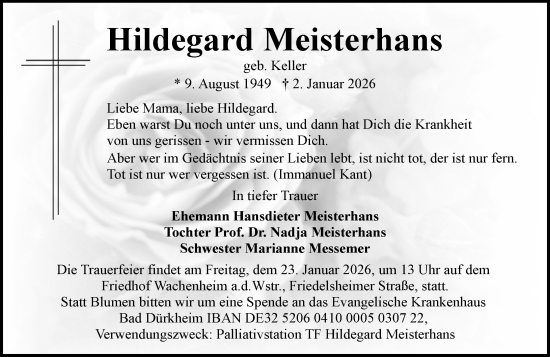 Traueranzeige von Hildegard Meisterhans von Darmstädter Echo