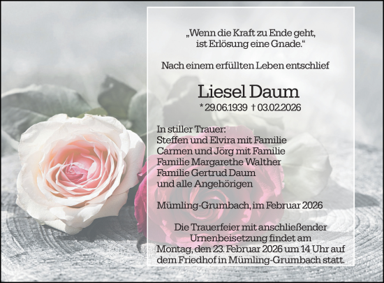 Traueranzeige von Liesel Daum von Odenwälder Echo