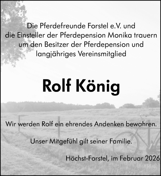 Traueranzeige von Rolf König von Odenwälder Echo