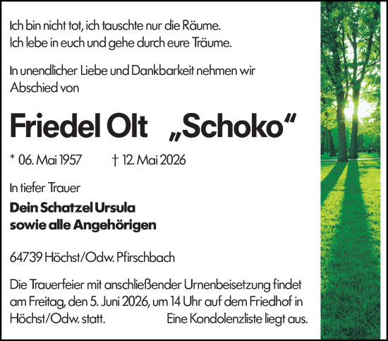 Traueranzeige von Friedel Olt von Odenwälder Echo