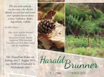 Traueranzeige von Harald Brunner von trauer.echo-online.de