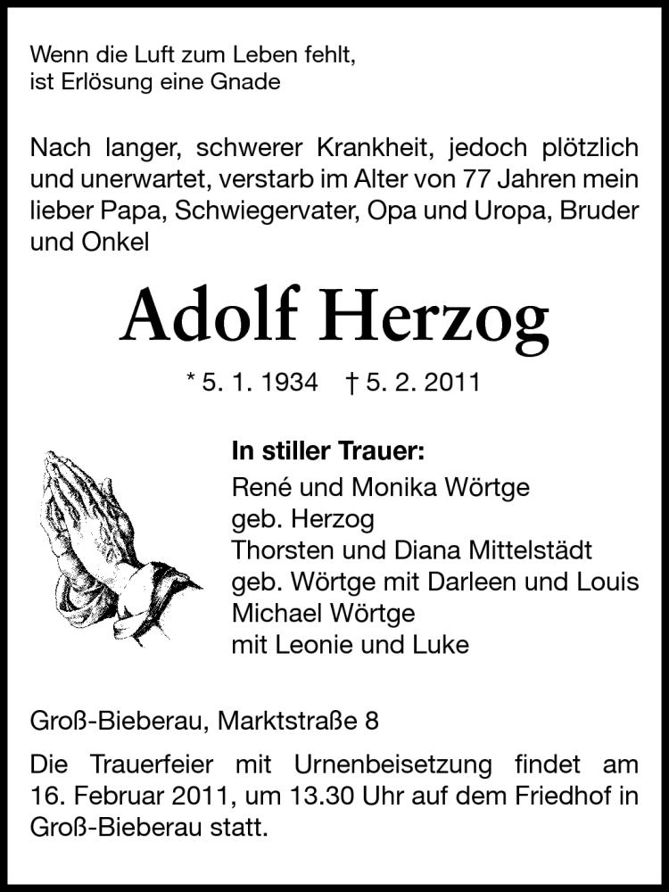  Traueranzeige für Adolf Herzog vom 12.02.2011 aus Echo-Zeitungen (Gesamtausgabe)