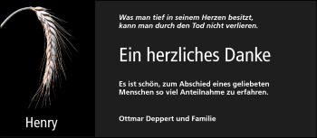 Traueranzeige von Henry - von Starkenburger Echo