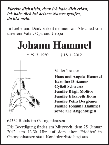 Traueranzeige von Johann Hammel von Echo-Zeitungen (Gesamtausgabe)