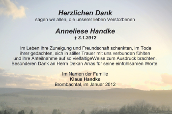 Traueranzeige von Anneliese Handke von Odenwälder Echo