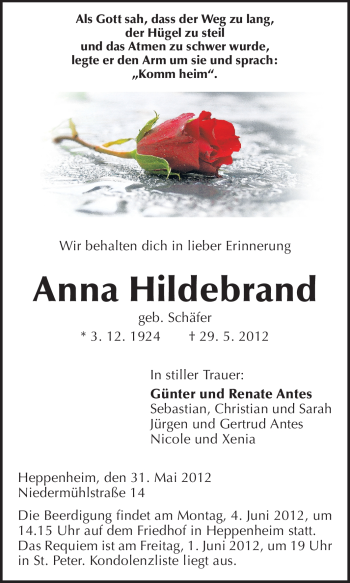 Traueranzeige von Anna Hildebrand von Starkenburger Echo