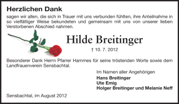 Traueranzeige von Hilde Breitinger von Odenwälder Echo