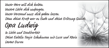 Traueranzeige von Ludwig Koch von Odenwälder Echo