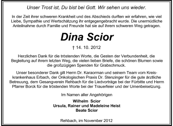Traueranzeige von Dina Scior von Odenwälder Echo