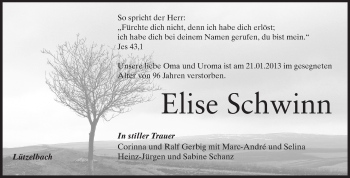 Traueranzeige von Elise Schwinn von Odenwälder Echo