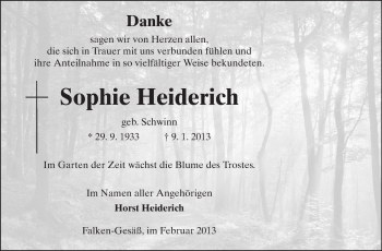 Traueranzeige von Sophie Heiderich von Odenwälder Echo