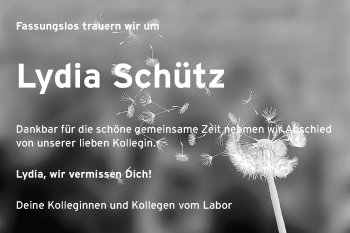 Traueranzeige von Lydia Schütz von Echo-Zeitungen (Gesamtausgabe)