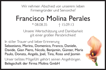 Traueranzeige von Francisco Molina Perales von Echo-Zeitungen (Gesamtausgabe)