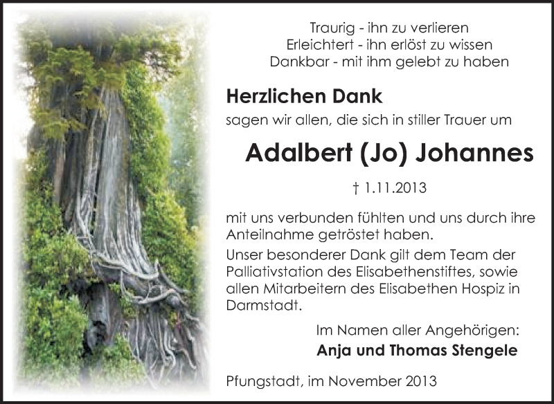  Traueranzeige für Adalbert Johannes vom 30.11.2013 aus Echo-Zeitungen (Gesamtausgabe)