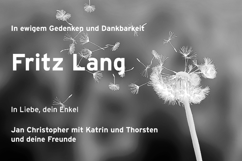  Traueranzeige für Fritz Lang vom 02.06.2015 aus Echo-Zeitungen (Gesamtausgabe)