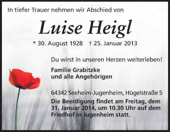 Traueranzeige von Luise Heigl von Echo-Zeitungen (Gesamtausgabe)