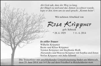 Traueranzeige von Rosa Krippner von Odenwälder Echo