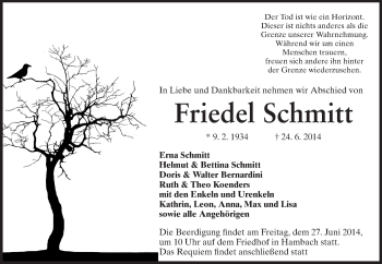 Traueranzeige von Friedel Schmitt von Starkenburger Echo