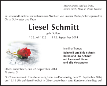 Traueranzeige von Liesel Schmitt von Starkenburger Echo