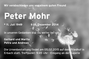 Traueranzeige von Peter Mohr von Odenwälder Echo