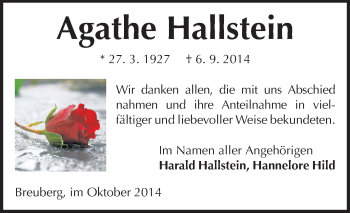 Traueranzeige von Agathe Hallstein von Odenwälder Echo