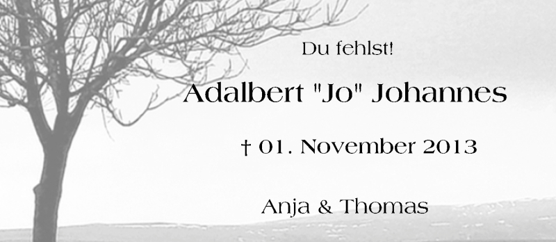  Traueranzeige für Adalbert Johannes vom 31.10.2015 aus trauer.echo-online.de