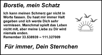 Traueranzeige von Borstie  von Trauerportal Echo Online