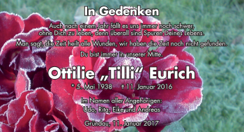 Traueranzeige von Ottilie Eurich von  Gelnhäuser Tageblatt