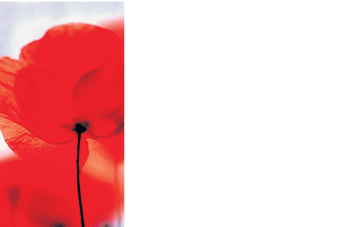 Traueranzeige von Hans Joachim Cößmann von Trauerportal Echo Online