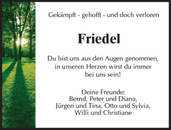 Traueranzeige von Friedel  von  Kreisanzeiger