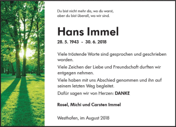 Traueranzeige von Hans Immel von vrm-trauer