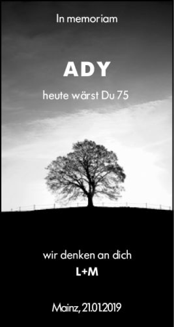 Traueranzeige von Ady  von vrm-trauer