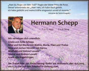 Traueranzeige von Hermann Schepp von vrm-trauer