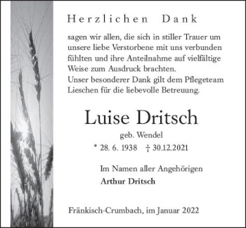 Traueranzeige von Luise Dritsch von vrm-trauer Odenwälder Echo