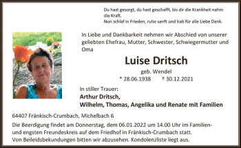 Traueranzeige von Luise Dritsch von vrm-trauer Odenwälder Echo