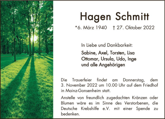 Traueranzeige von Hagen Schmitt von vrm-trauer AZ Mainz