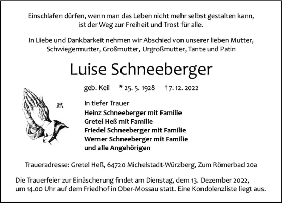 Traueranzeige von Luise Schneeberger von vrm-trauer Odenwälder Echo