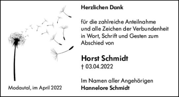 Traueranzeige von Horst Schmidt von vrm-trauer Darmstädter Echo