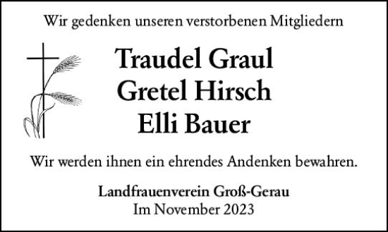 Traueranzeige von Elli Bauer von Groß-Gerauer Echo
