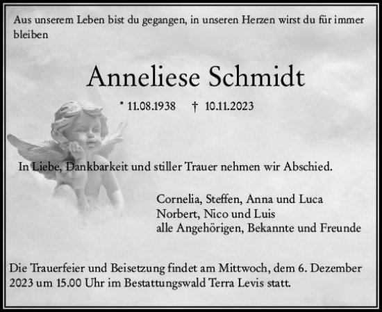 Traueranzeige von Anneliese Schmidt von Wiesbadener Kurier