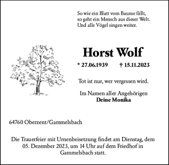 Traueranzeige von Horst Wolf von Odenwälder Echo