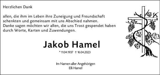 Traueranzeige von Jakob Hamel von Starkenburger Echo
