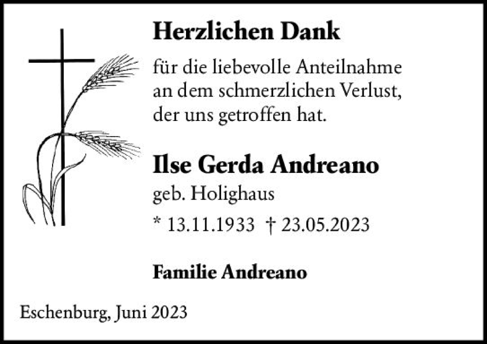  Traueranzeige für Ilse Gerda Andreano vom 03.06.2023 aus Dill Block