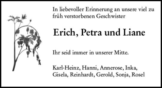 Traueranzeige von Liane  von Alzeyer Wochenblatt