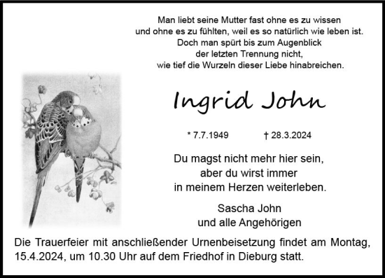 Traueranzeige von Ingrid John von Dieburger Anzeiger/Groß-Zimmerner Lokal-Anzeiger